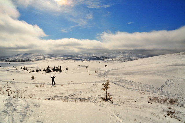 [DSC_0292[2].jpg]