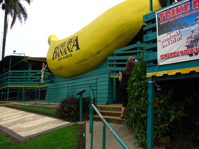 [IMG_66463.jpg]