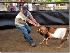 I got my goat, and am now hauling him back to the team area where he wil be tipped and "branded".  How's the cowboy look suit me?  (click to enlarge)