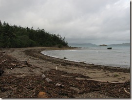 A litter strewn Back Beach on Long Island (click to enlarge)