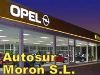 Autosur