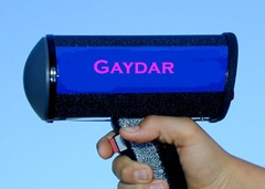 gaydar