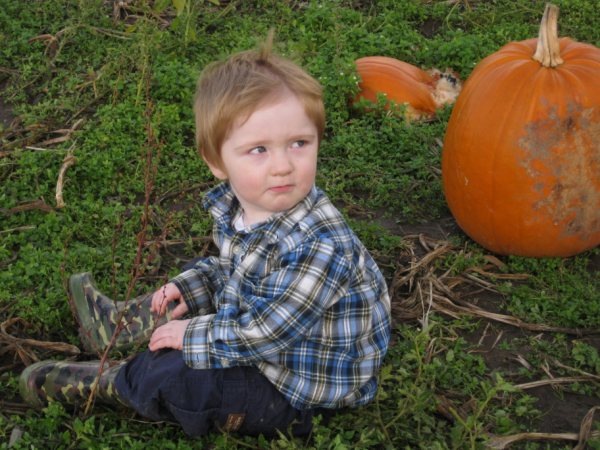 [pumpkinpatchandmore0698.jpg]