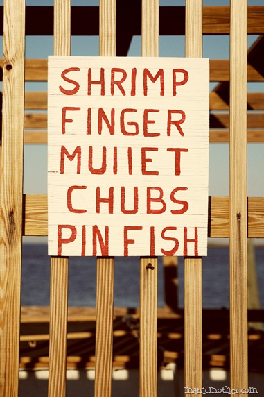 shrimp