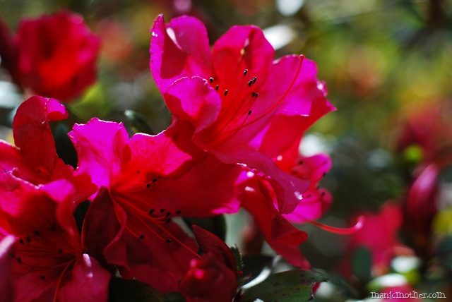 [DSC_05067.jpg]