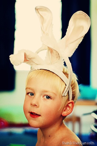 [bunny27.jpg]