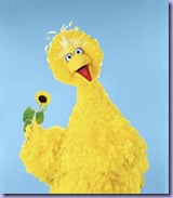 Bigbird33