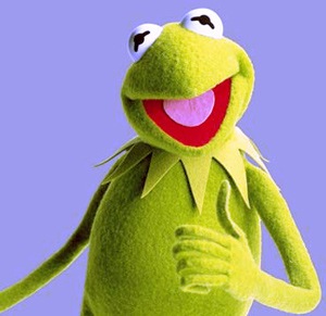 [kermit_1_6.jpg]