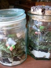 [terrrariums1128.jpg]