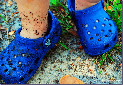 crocs