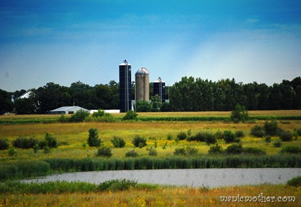 farmview