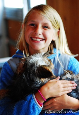 maddiepup
