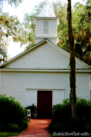 [micanopy0173.jpg]