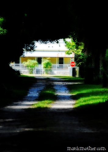 micanopy road