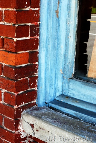 [micanopy 127a[3].jpg]