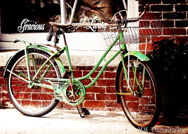[bike[4].jpg]