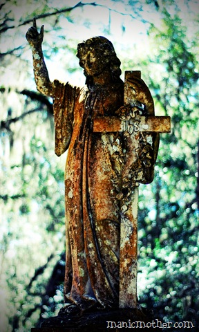 [micanopy316lomo7.jpg]