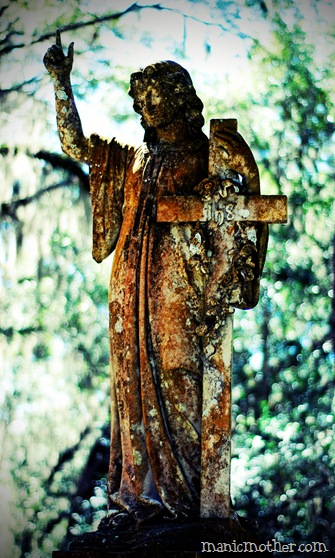 micanopy 316lomo