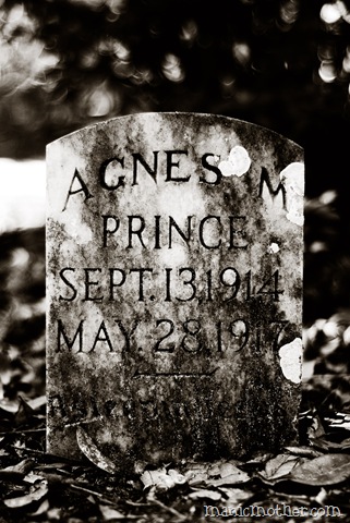 [micanopy255cs2.jpg]