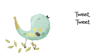 birdy