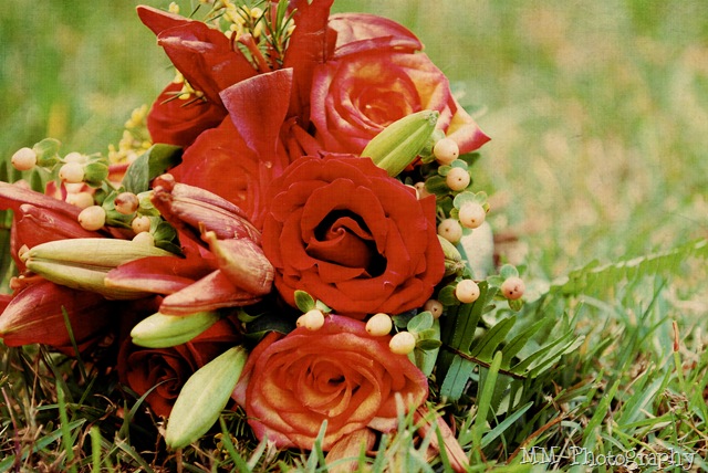 [flowers2[7].jpg]
