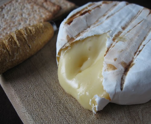 [cheese[3].jpg]