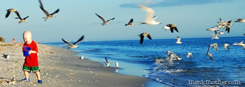 ezra birds