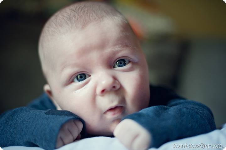 chubby