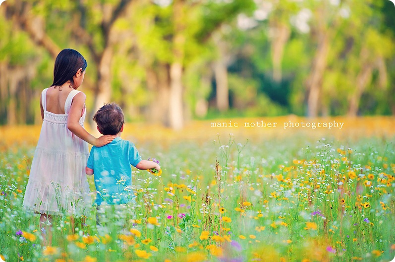 gainesville-wildflower-field