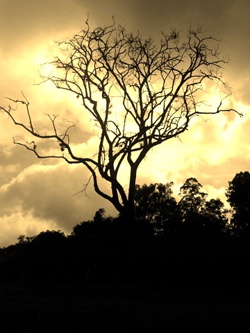 [Foto0025 edit[31].jpg]