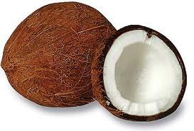 [coconut[5].jpg]