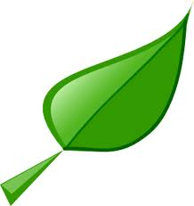 [leaf12.png]