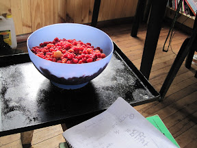 $4.00 worth of rasberries