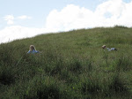 IMG_0070.JPG