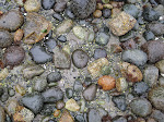 IMG_0105.JPG