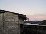 IMG_0153.JPG