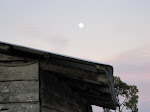 IMG_0154.JPG
