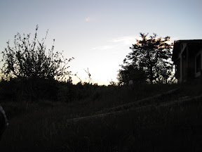 IMG_0310.JPG