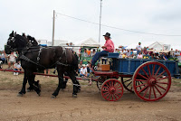 IMG_0007.JPG