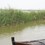 L' Albufera, photographer: Anne-Marie Melster L' Albufera, photographer: Anne-Marie Melster