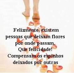 4764_felizmente 4764_felizmente