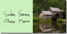 sundayscenerybutton_lg