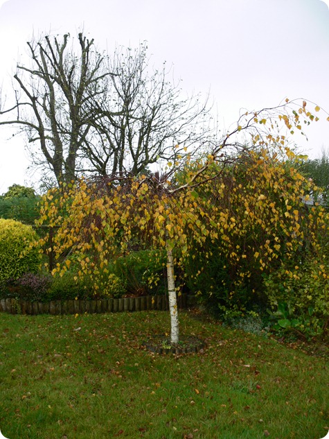 P1350496