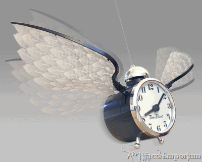 time-flies-clock-10-11-2006