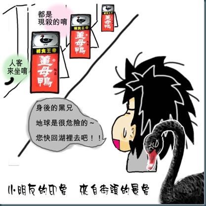 黑天鵝-4