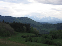 IMG_3699.JPG
