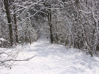 IMG_3047.JPG