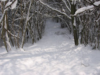 IMG_3049.JPG