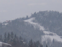 IMG_3082.JPG