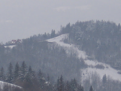 IMG_3082.JPG